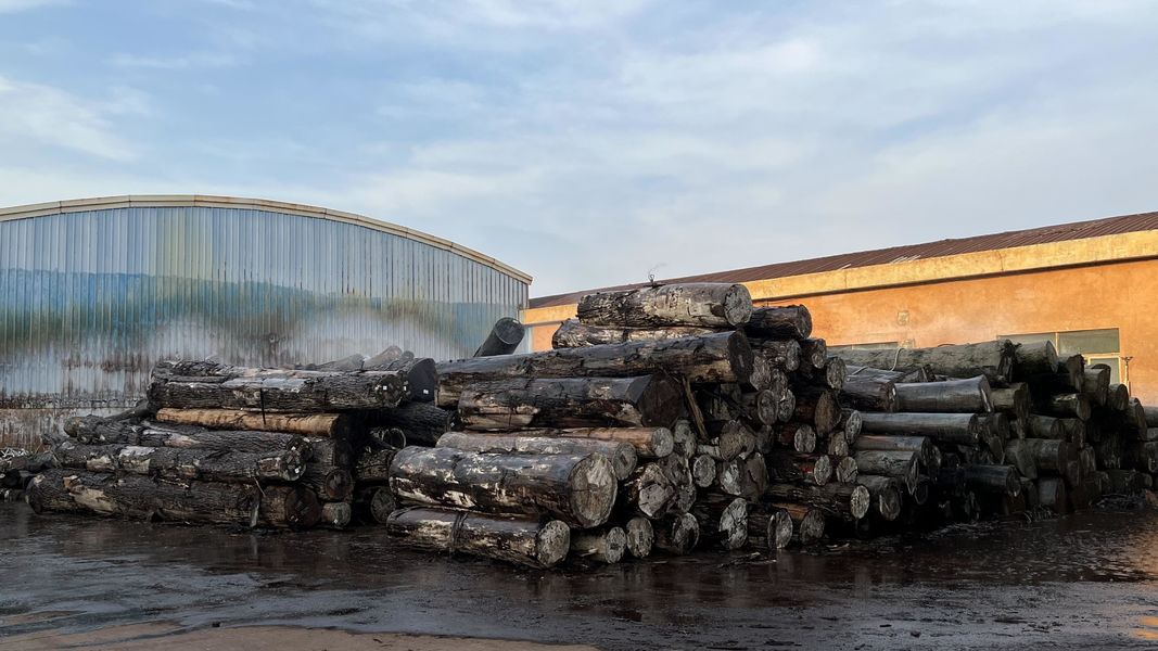 Dongguan Lingfeng Wood Industry Co., Ltd. γραμμή παραγωγής του κατασκευαστή