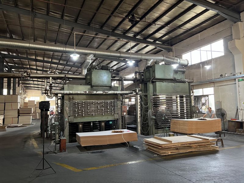 Dongguan Lingfeng Wood Industry Co., Ltd. γραμμή παραγωγής του κατασκευαστή