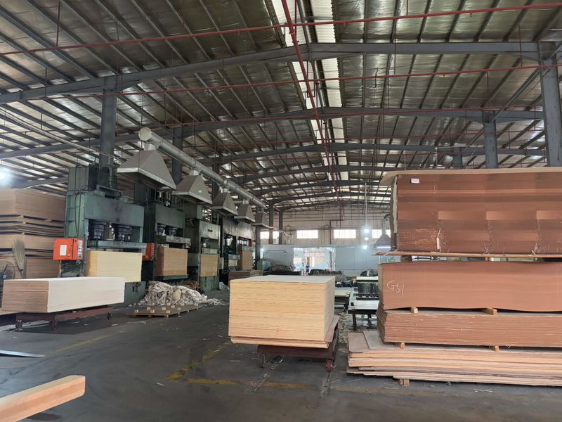 Dongguan Lingfeng Wood Industry Co., Ltd. γραμμή παραγωγής του κατασκευαστή