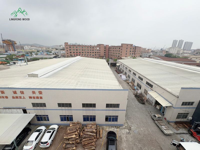 Dongguan Lingfeng Wood Industry Co., Ltd. γραμμή παραγωγής του κατασκευαστή
