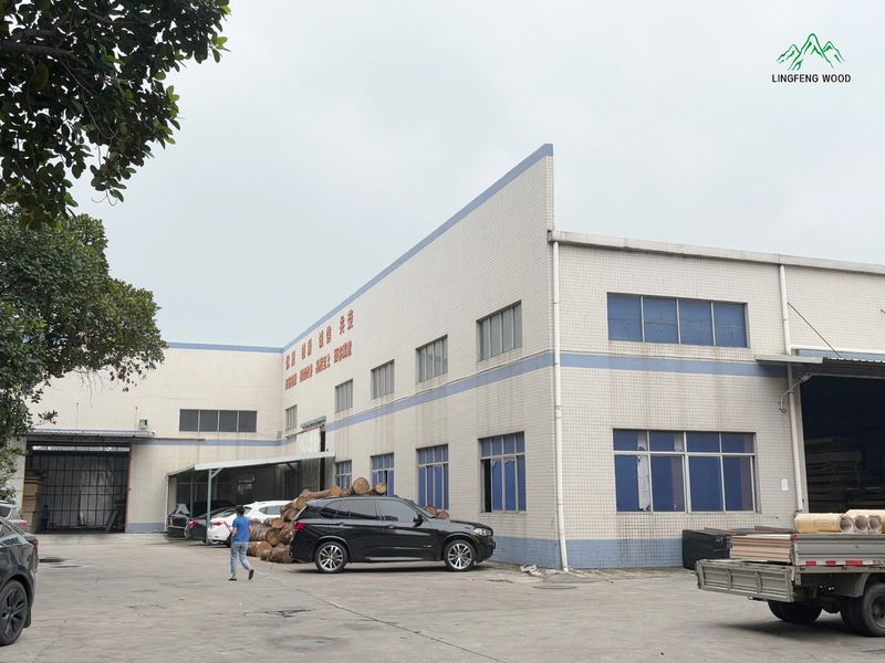 Dongguan Lingfeng Wood Industry Co., Ltd. γραμμή παραγωγής του κατασκευαστή